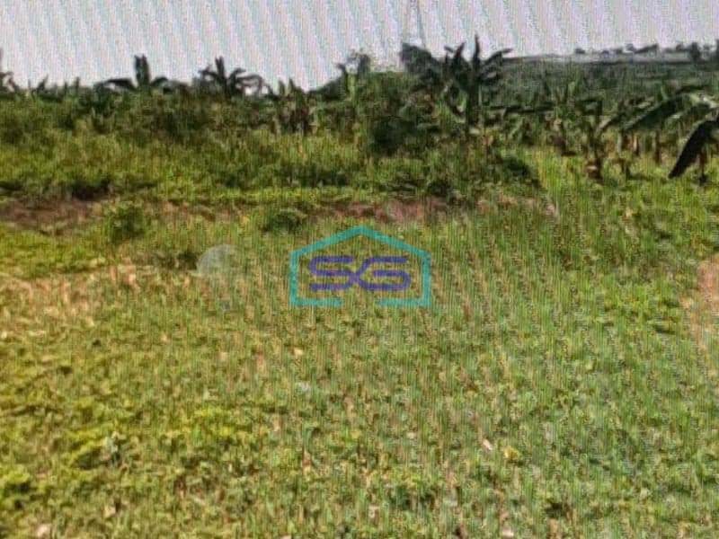 Dijual Tanah Di Citeureup Bogor Dekat Tol Jagorawi LT 89421m2