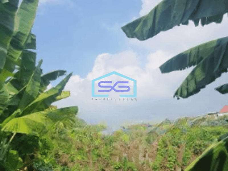 Dijual Tanah Siap Bangun Luas 14555 m²  di Penjaringan Jakarta Utara