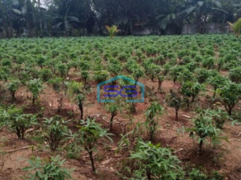 Dijual Tanah Di Daerah Ciseeng Bogor Bebas Banjir LT 1009m2