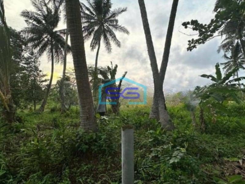 Dijual Tanah di Pandeglang Banten Luas Tanah 43800m2