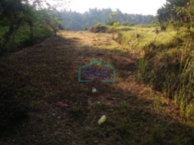 Dijual Tanah Paling Murah Di Lokasi Batuaji Tabanan Cocok Untuk Investasi Luas Tanah 6600m2