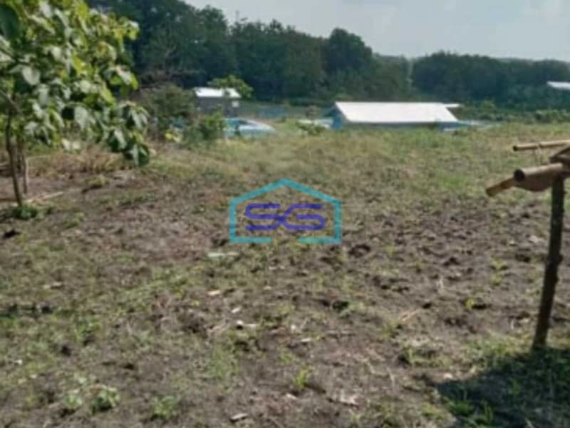 Dijual Lahan Tanah Dalam Zona Industri Strategis Tangen Sragen Jawa Tengah Luas 41 Ha