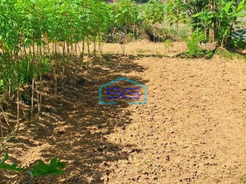 Dijual Tanah Letak Strategis Di Rumpin Bogor Luas Tanah 3500m2