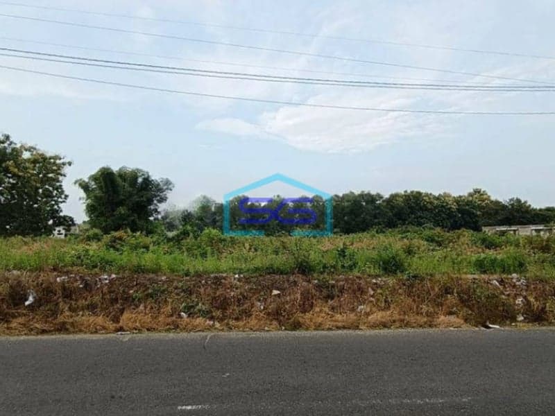 Dijual Tanah Murah Jl Raya Area Manyar Gresik Dekat Pelabuhan Sudah Urug Tinggi Cocok Gudang Dan Ruko Usaha
