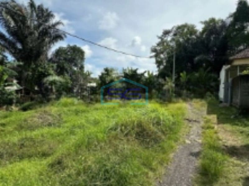 Dijual Tanah Zona Kuning Harga Murah di Abiansemal Badung Bali