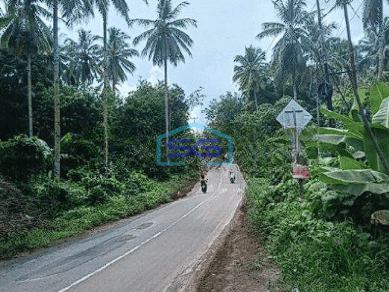 Dijual Tanah Luas 5Ha di Manado Cocok Buat Gudang Kantor