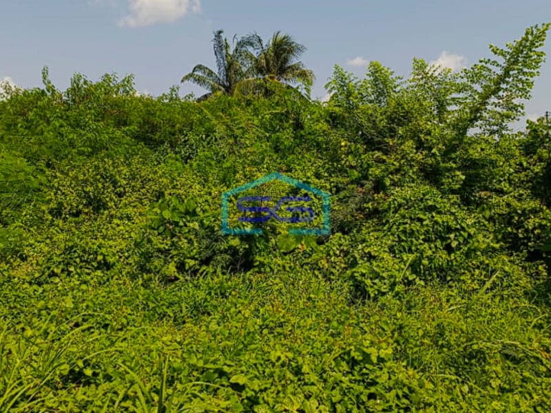 Dijual Tanah di Kec Alang Alang Lebar Kota Palembang Luas 4331m2