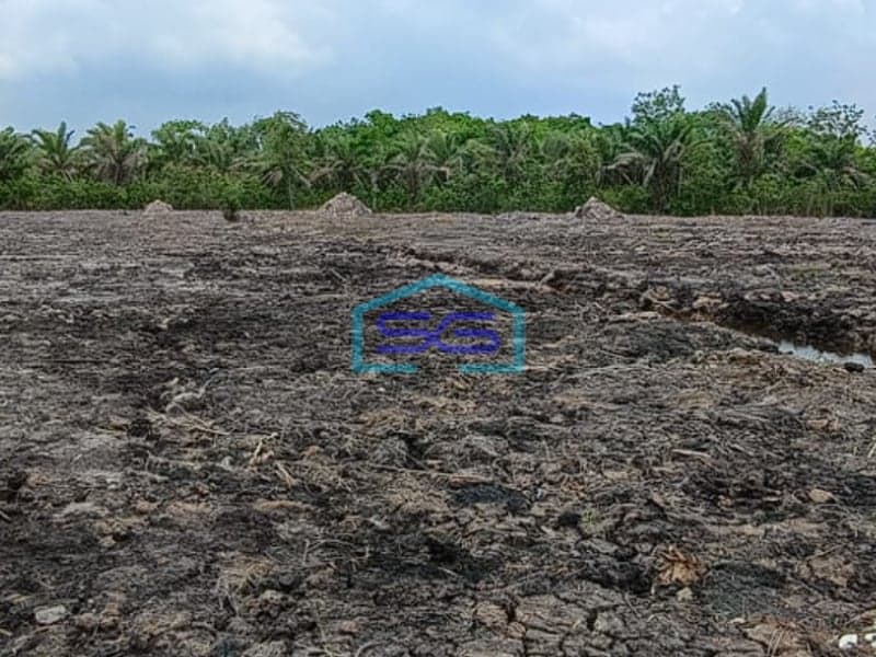 Dijual Lahan Tanah Luas Eks Kebun Sawit di Pangkalan Benteng Banyuasin Sumatera Selatan LT 16000m2