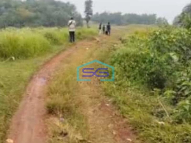 Dijual Tanah Cocok Untuk Investasi Di Tigaraksa Tangerang Luas 50 Ha