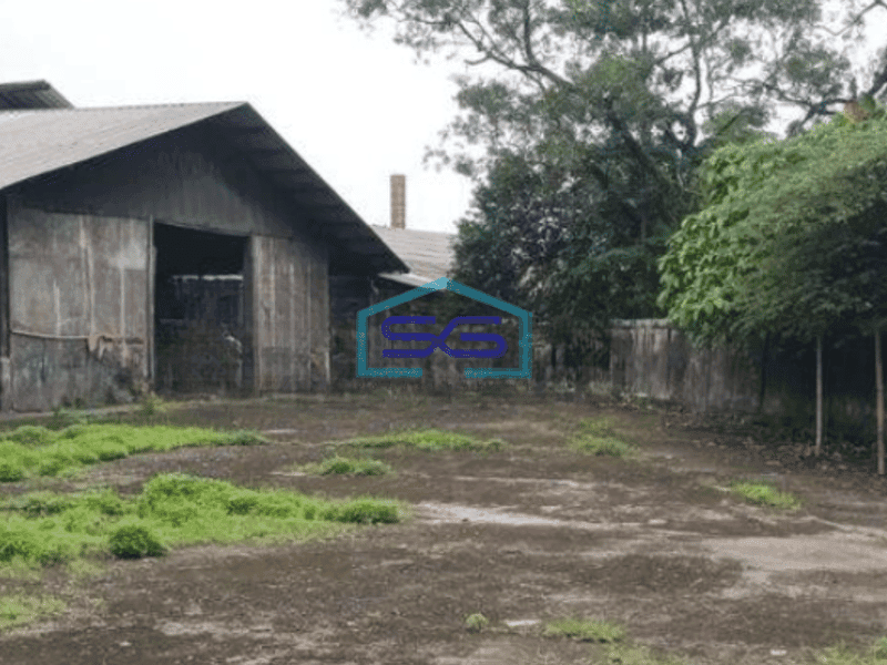 Disewakan Gudang 1 Lantai Luas Bangunan  1400 m² di Parung Panjang Bogor