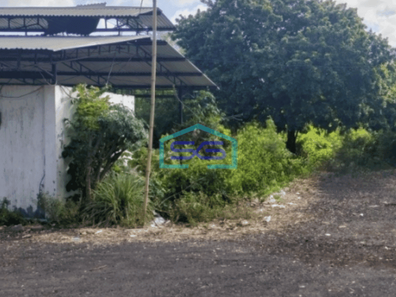 Dijual Tanah di Uluwatu Jimbaran Bali 1.2 Ha Depan Jimbaran Plaza