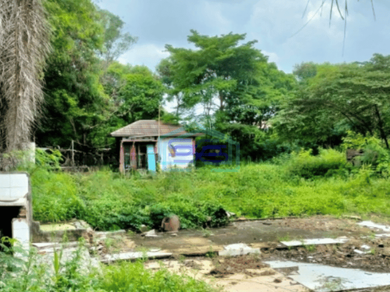 Disewakan Tanah di Marunda Cilincing Jakarta Utara 2.4 Ha Dekat Tol