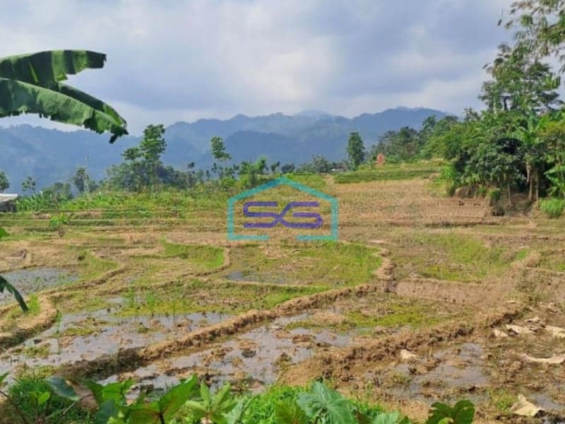 Dijual Tanah Seluas 12000m2 di Babakan Madang Bogor