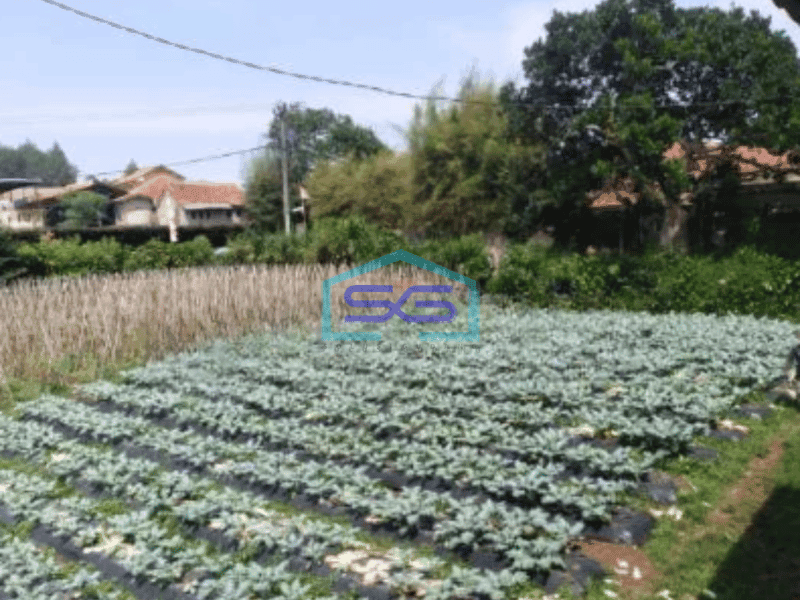 Dijual Tanah Di Lembang Sersan Bajuri Kavling Dekat Villa Lagenta