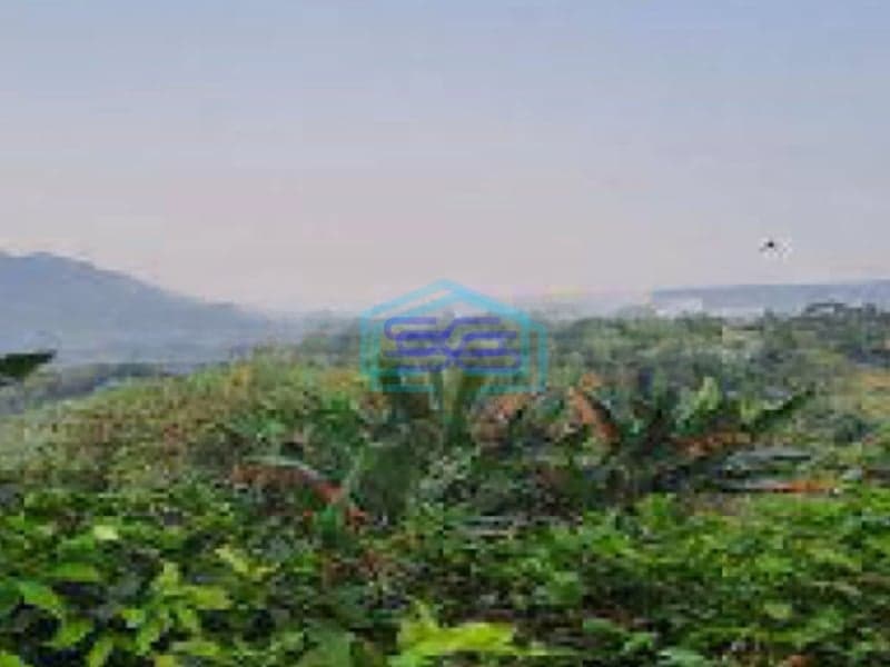 Dijual Tanah di Desa Pabuaran Perbatasan Citeureup Sukamakmur Bogor LT 50000m2