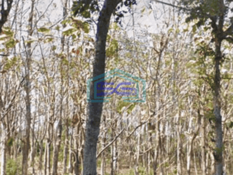 Dijual Tanah di Nganjuk Jawa Timur