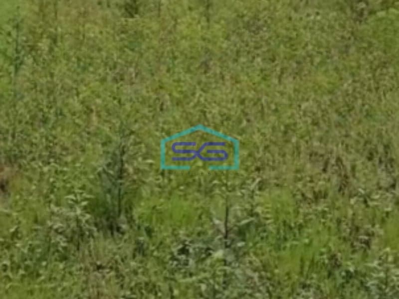 Dijual Tanah Luas 3090 m² Lokasi Strategis di Padangan Bojonegoro Jawa Timur