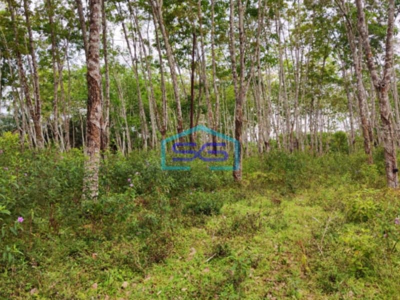 Dijual Tanah di Sembawa Banyuasin Sumatera Selatan Luas 140.000m2