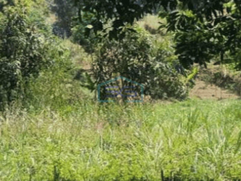 Dijual Tanah Kawasan Cileunyi Bandung Luas 2045m²