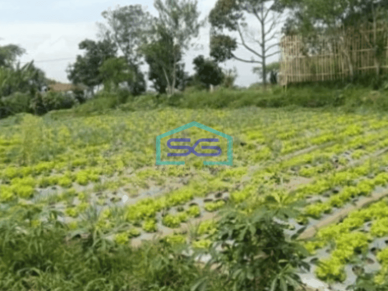 Dijual Tanah Strategis di Parongpong Bandung Luas 3470m²