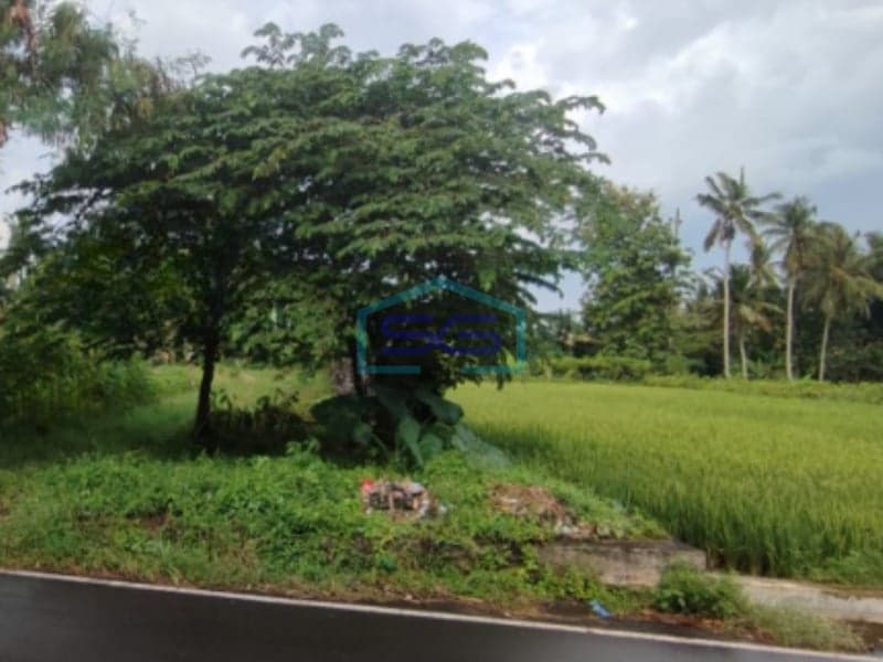 Dijual Tanah di Ngaglik, Sleman Yogyakarta Luas Tanah 2750m2