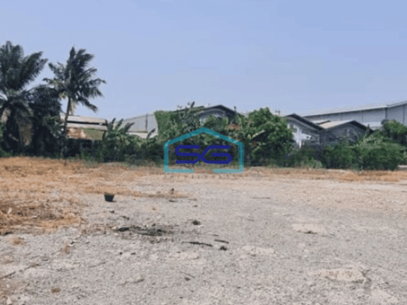 Disewakan Gudang Peternakan di Kapuk Jakarta Utara Luas Tanah 5000 m²