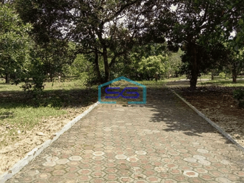 Dijual Lahan Tanah di Tanjungsari Bogor Luas 33675m2