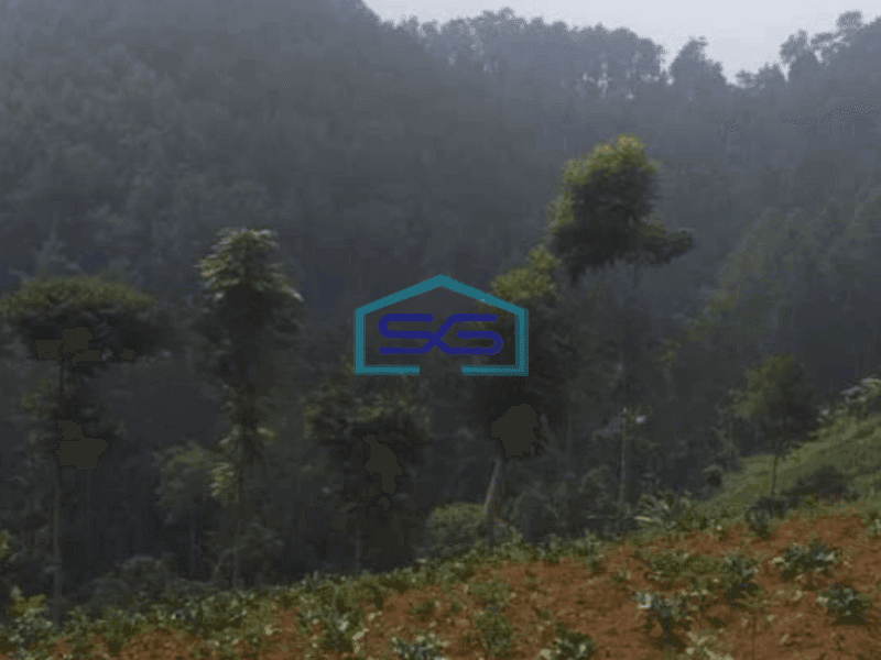 Dijual Tanah Siap Bangun Di Dago Ciburial Luas Tanah 2740 m²