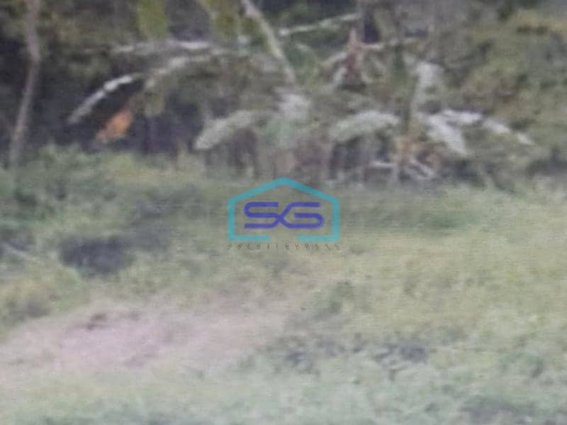 Dijual Tanah Dalam Kawasan Industri Tambakaji Semarang LT 37500m2