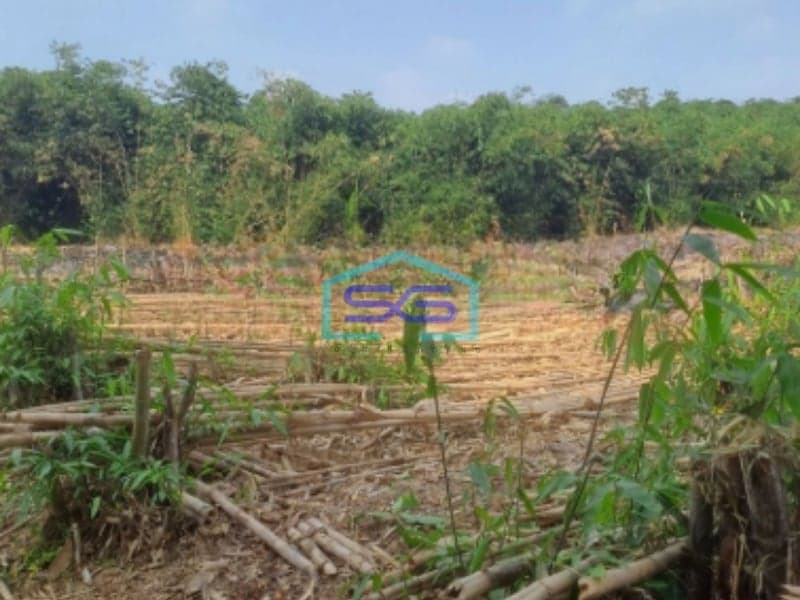 Dijual Tanah di Cibodas Rumpin Bogor Luas Tanah 2450m2