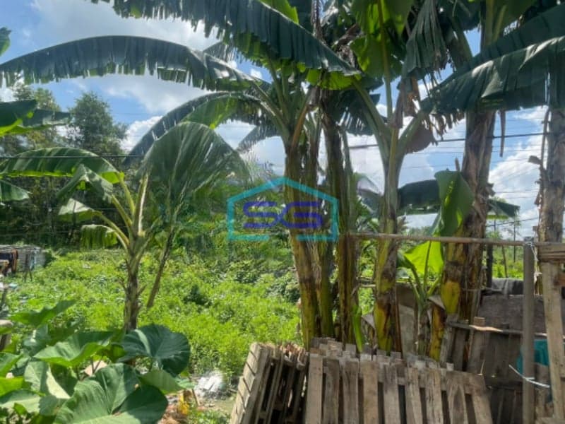 Dijual Tanah di Jalan Gubernur H Bastari Jakabaring Palembang LT 5000m2