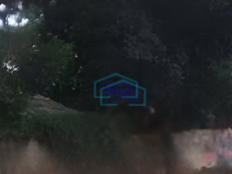 Dijual Tanah Luas  32000 m² Lokasi Gunung Sindur Bogor