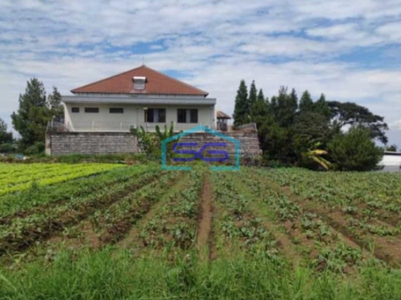 Dijual Tanah Kavling Bagus dan Harga Termurah di Setiabudi Regency Bandung LT 1980m2