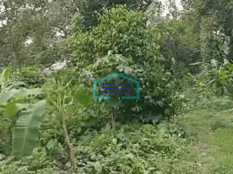 Dijual Tanah Komersil di Lenteng Agung Jakarta Selatan LT 11425m2