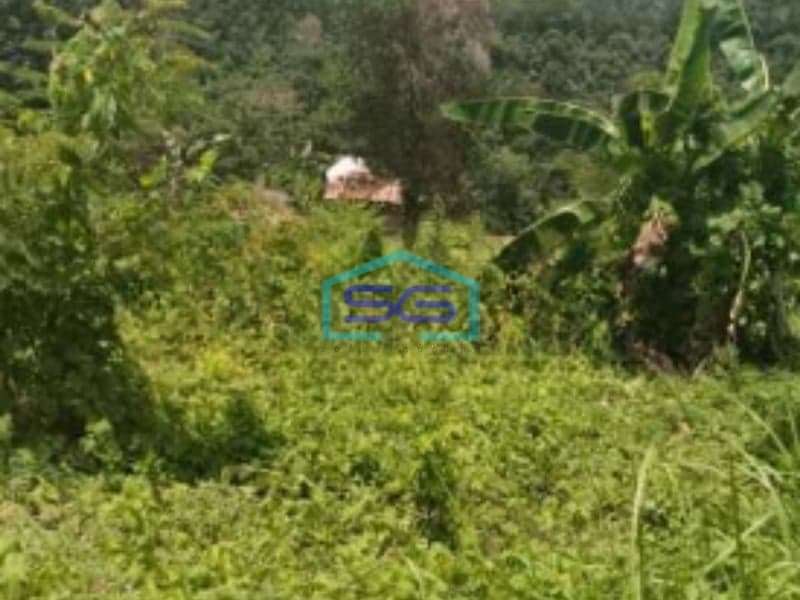 Dijual Tanah di Teluk Betung Timur, Bandar Lampung Luas 9316m2