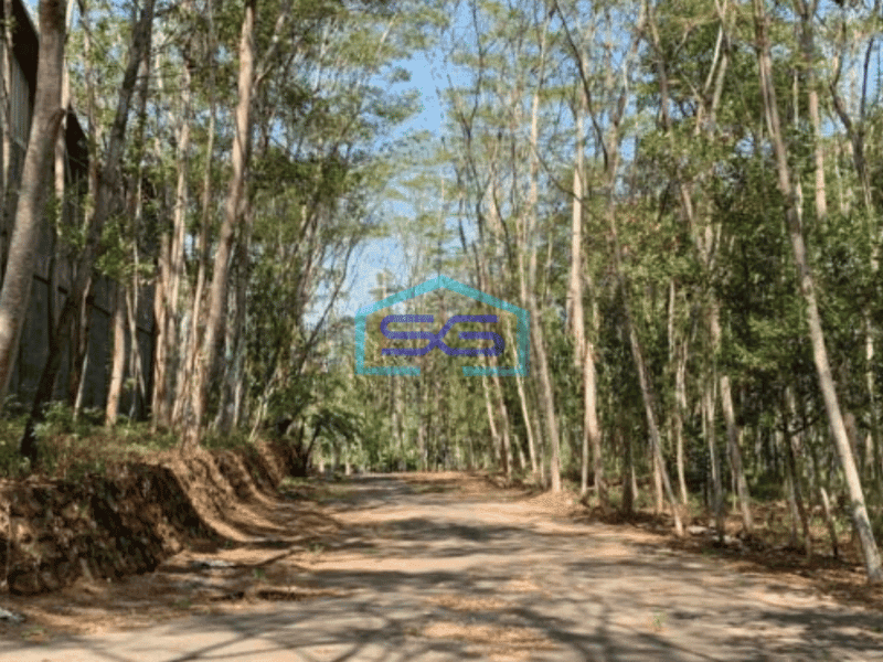 Dijual Tanah Strategis Kawasan Industri Lokasi Sukoharjo Luas 11 Ha