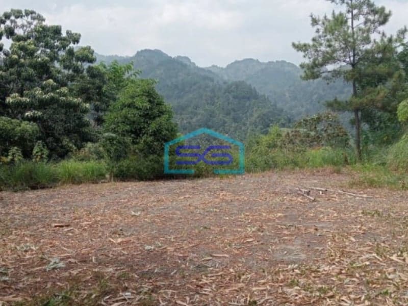 Dijual Tanah KP Wangun Depok Desa Karang Tengah Babakan Madang Bogor LT 10000m2