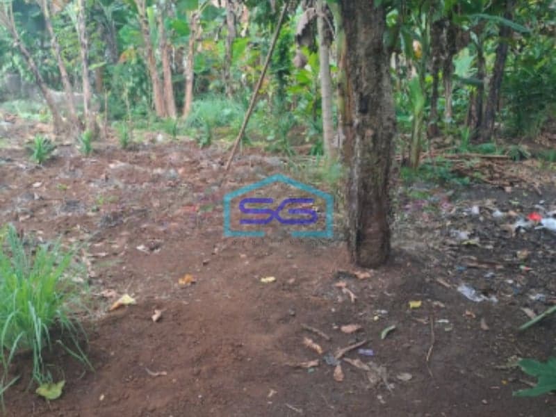 Dijual Tanah Lokasi di Kemang Bogor SHM Bebas Banjir