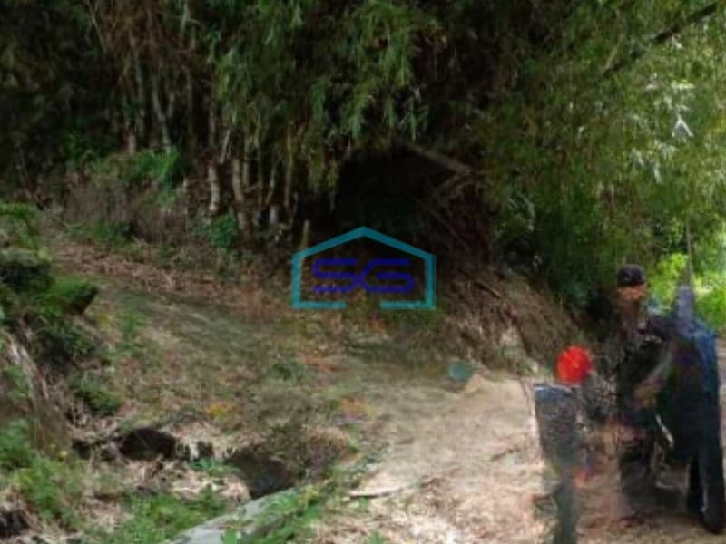 Disewakan Tanah Luas 30000 m² Lokasi Klaten Jawa Tengah