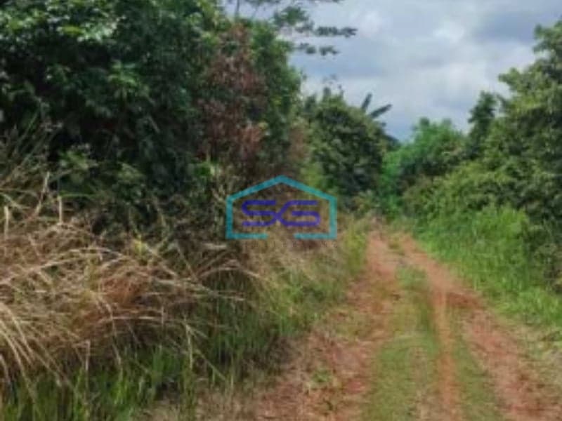 Dijual Tanah Seluas 23 Hektar Bebas Banjir Lokasi di Cariu Bogor