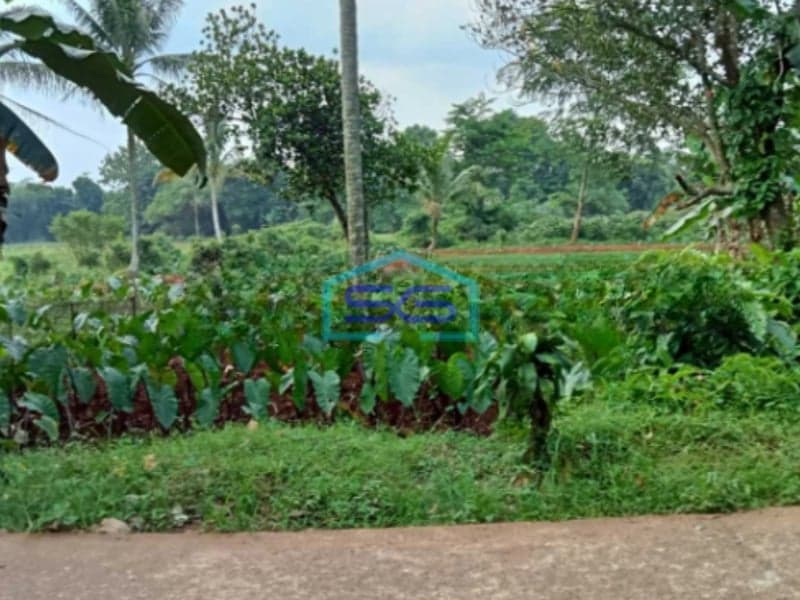 Dijual Tanah Di Kemang Bogor Luas Tanah 1250m2