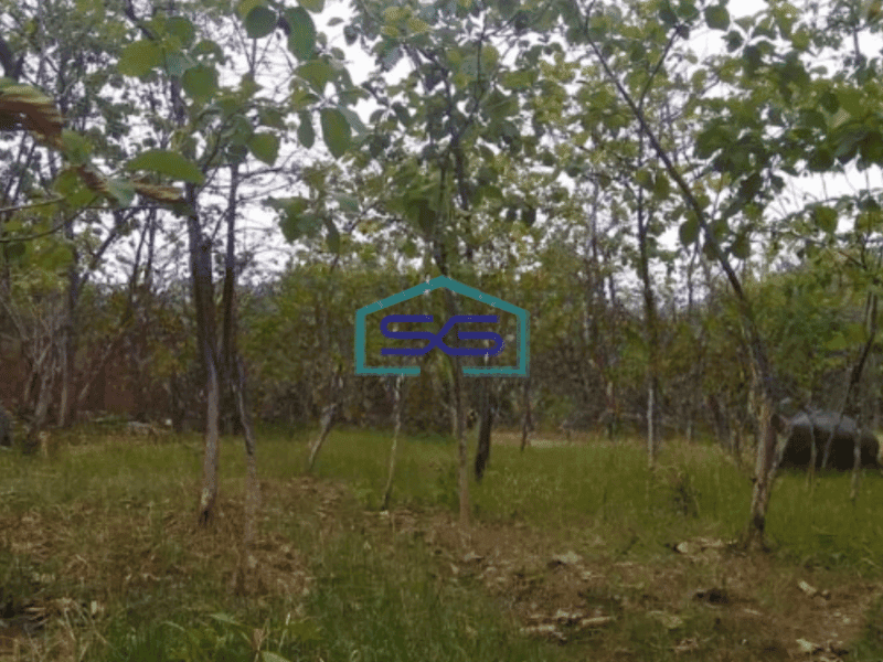 Dijual Tanah Luas  4738 m² Lokasi Tuban Jawa Timur