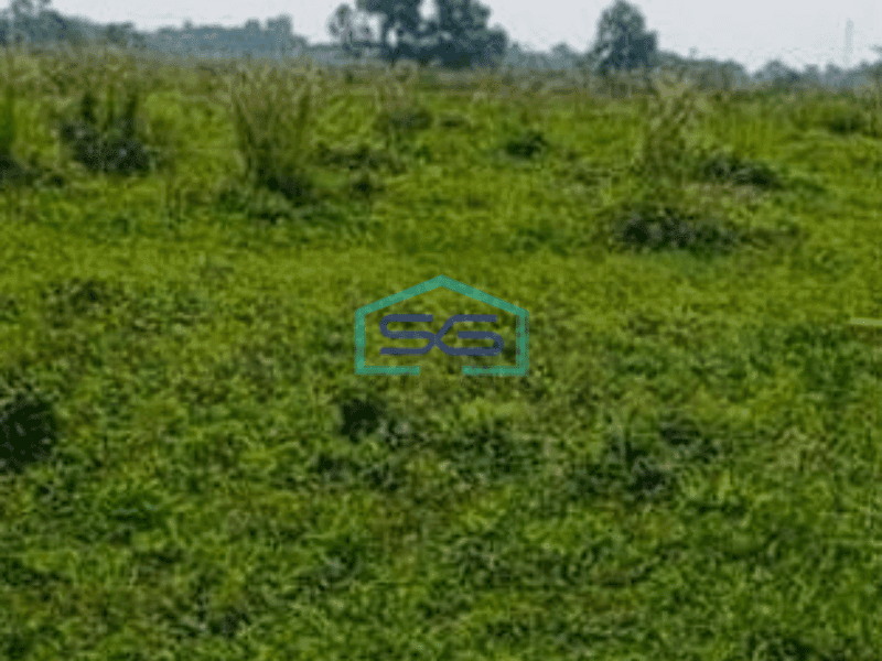 Dijual Tanah Cocok Untuk Perumahan Lokasi Di Curug Tangerang LT 70000m2