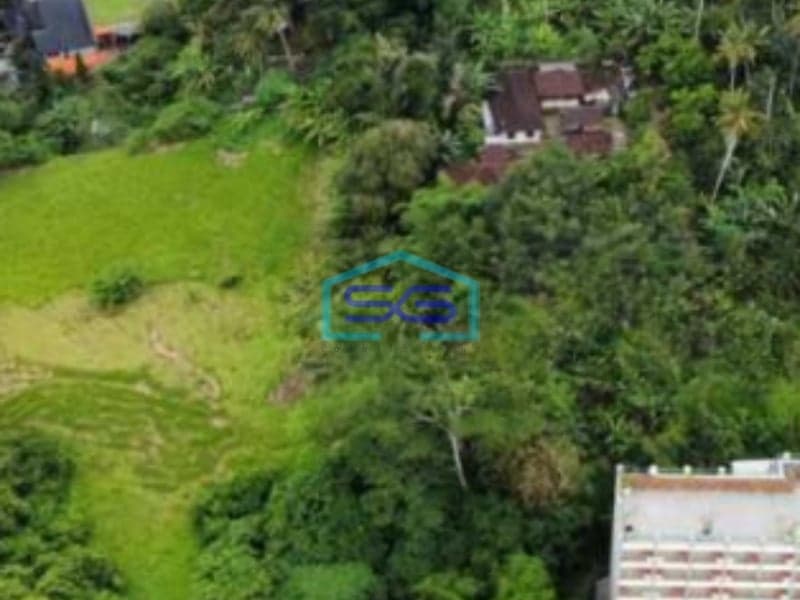 Dijual Tanah  Lokasi di Gianyar Bali Luas  5994 m²