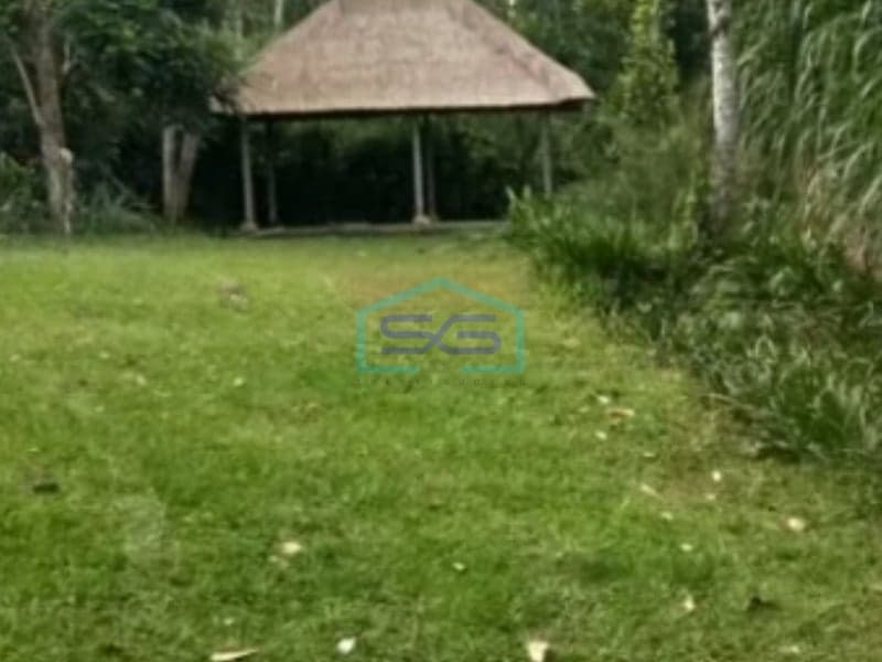 Dijual Tanah Super Keren Luas Tanah 17000m2 di Ubud Gianyar Bali