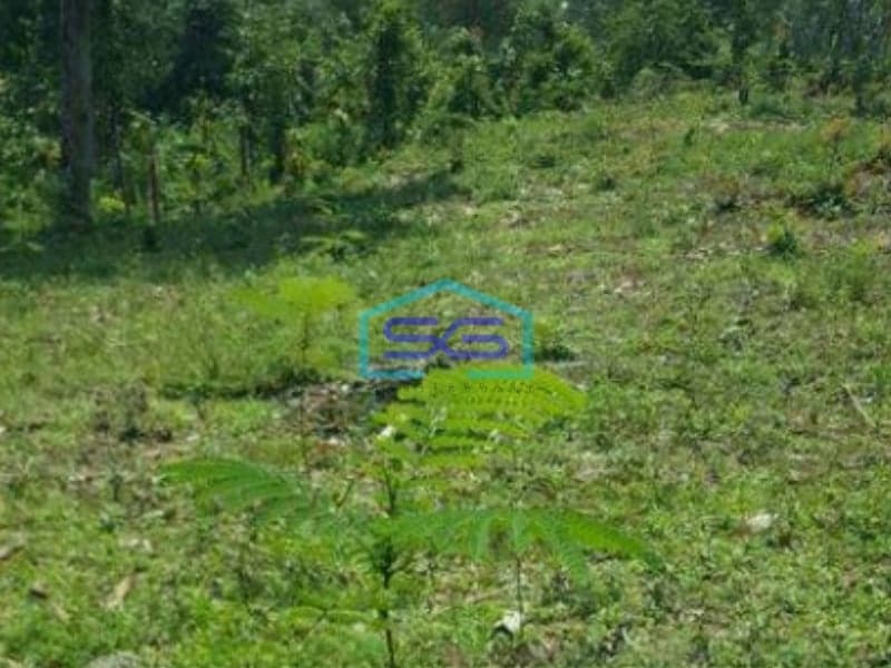 Dijual Tanah Di daerah Jasinga Bogor Letak Strategis Pinggir Jalan LT 14955m2