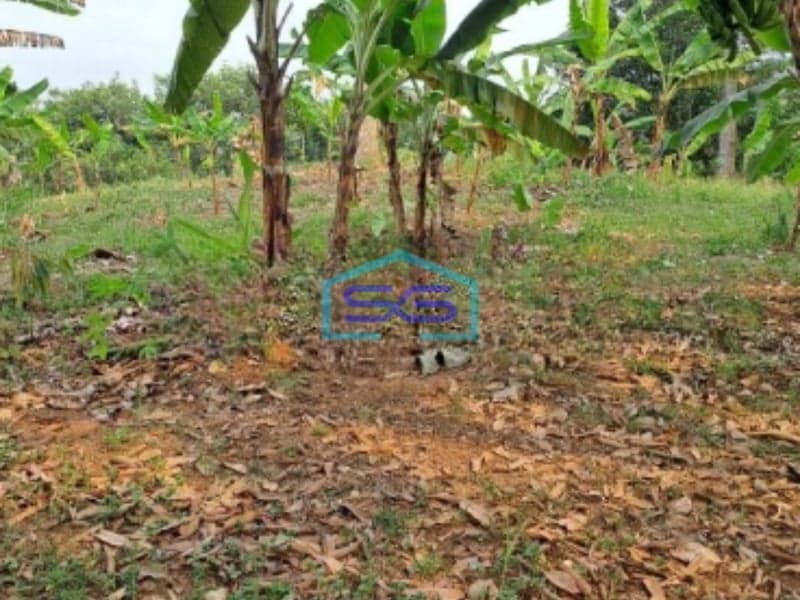 Dijual Tanah Sangat Bagus Luas 11000m2 Desa Rabak Rumpin Bogor