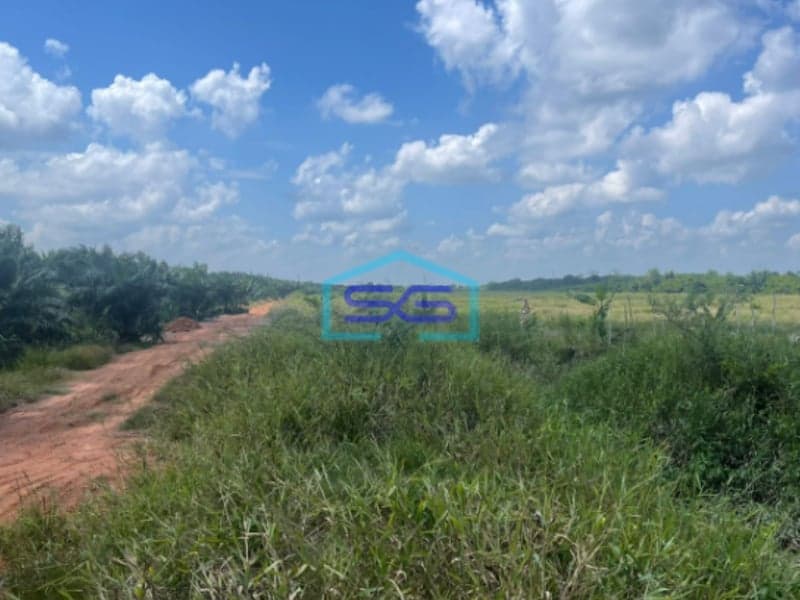 Dijual Tanah Jalan Tanjung Api Api Km 45 Palembang Luas Tanah 15.000m2