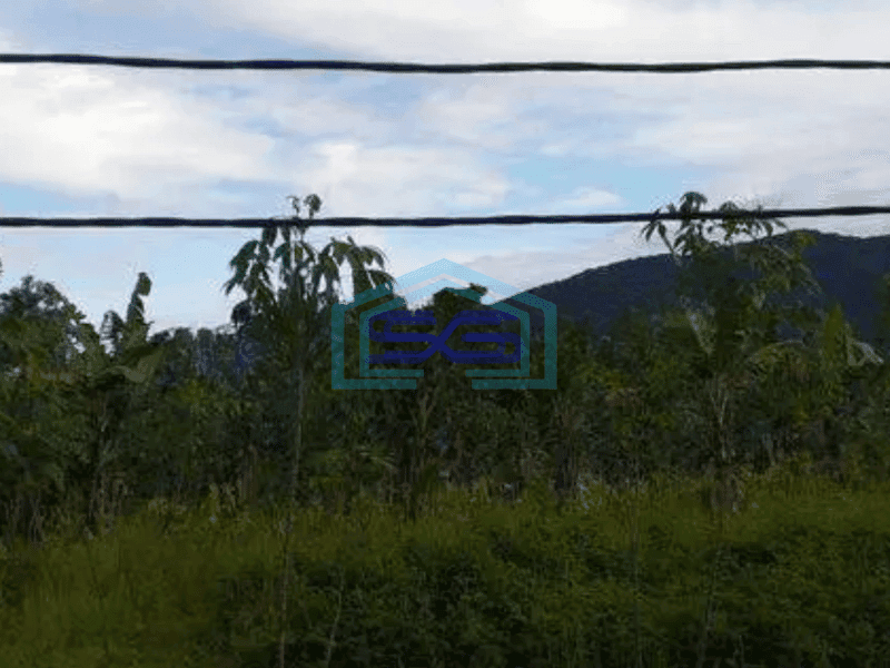 Dijual Tanah di Cisarua Bogor