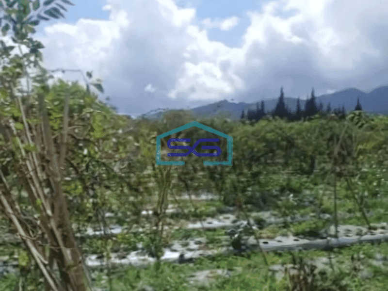 Dijual Tanah Kawasan Lembang Bandung Luas 8750m²